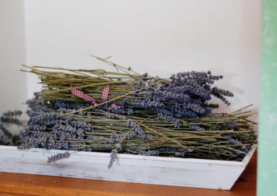 Tanja Koller - energetska zdravilka